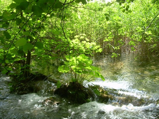dscn5187.jpg