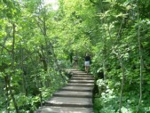 dscn5194.jpg