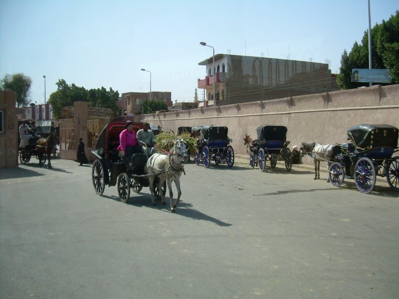 DSCN4298.jpg