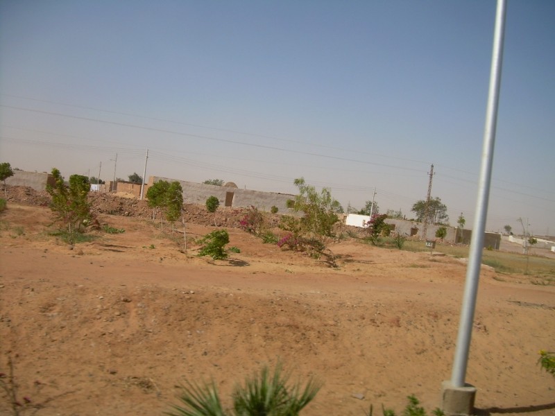 DSCN4358.jpg
