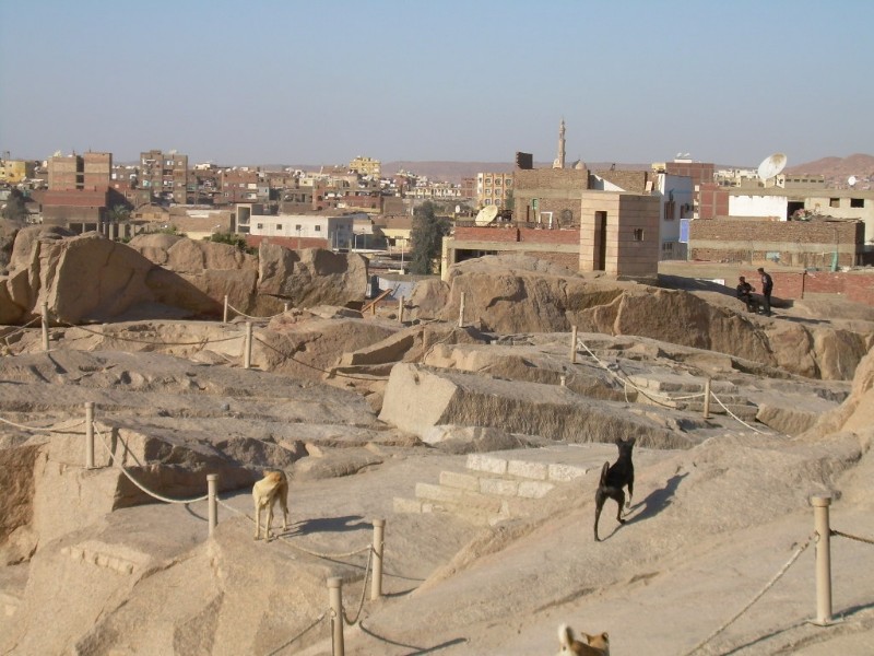 DSCN4393.jpg