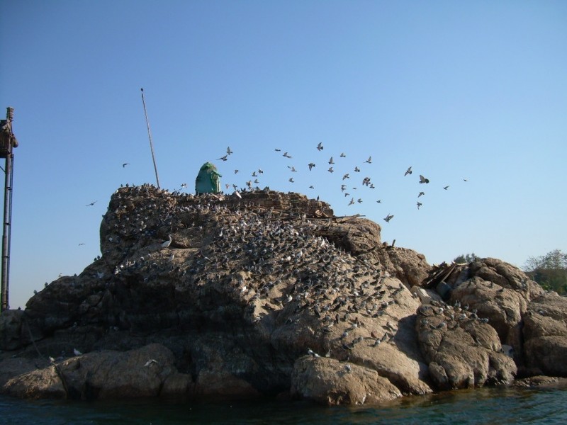 DSCN4425.jpg