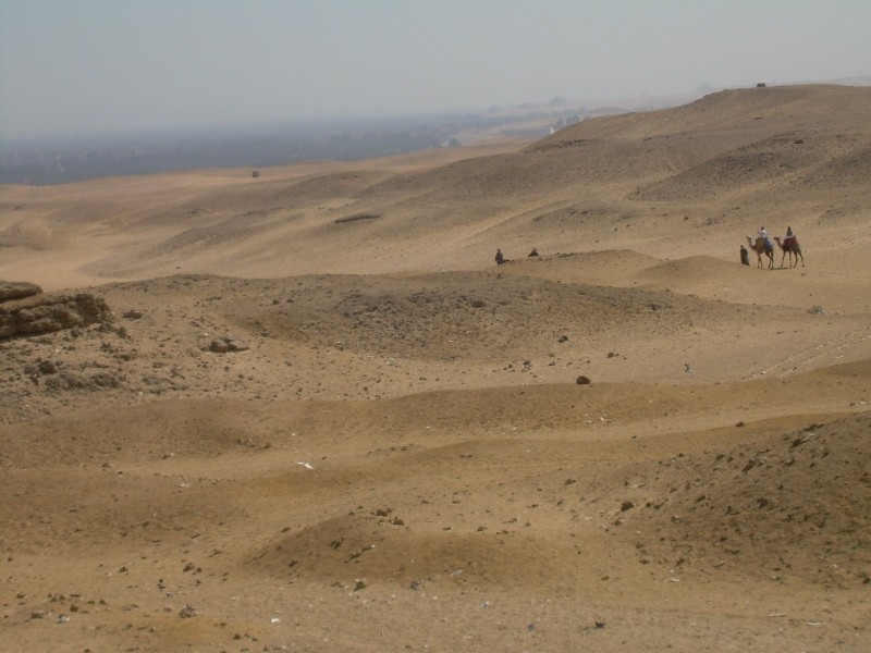 DSCN4457.jpg