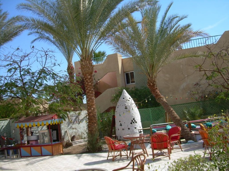 DSCN4621.jpg