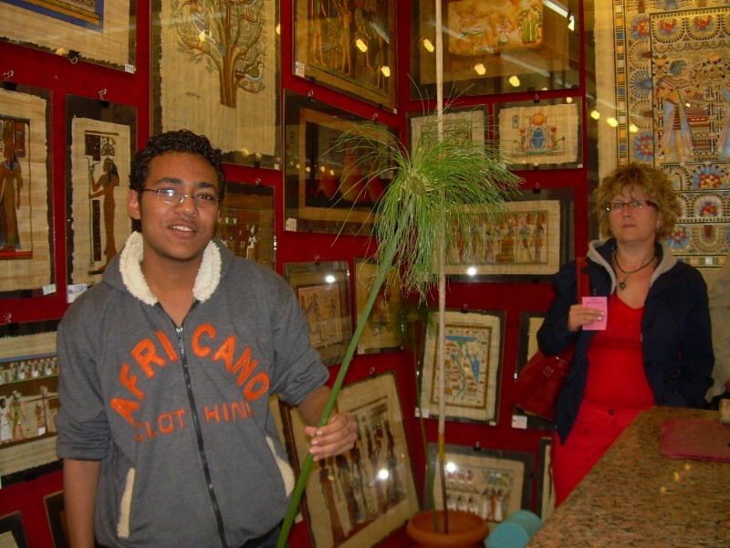 DSCN4225.jpg