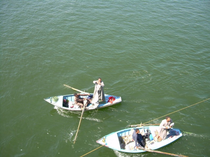 DSCN4238.jpg