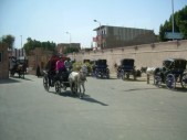 DSCN4298.jpg