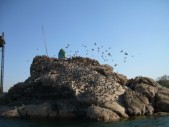 DSCN4425.jpg