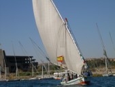 DSCN4434.jpg