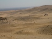 DSCN4457.jpg