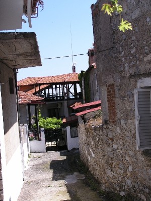 P1010246.JPG
