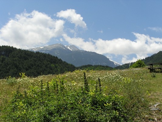 P1010278.JPG