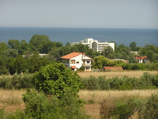 P1010313.JPG