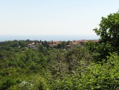 P1010242.JPG
