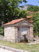 P1010247.JPG