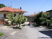 P1010248.JPG