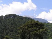 P1010286.JPG
