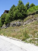 P1010288.JPG