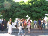 IMG_7276.JPG