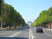 IMG_7375.JPG