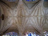 IMG_7447.JPG