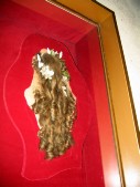 IMG_7566.JPG