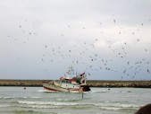 IMG_7745.JPG