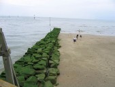 IMG_7794.JPG