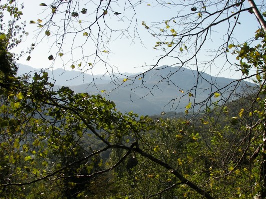 2006-10-10 10-56-35.jpg