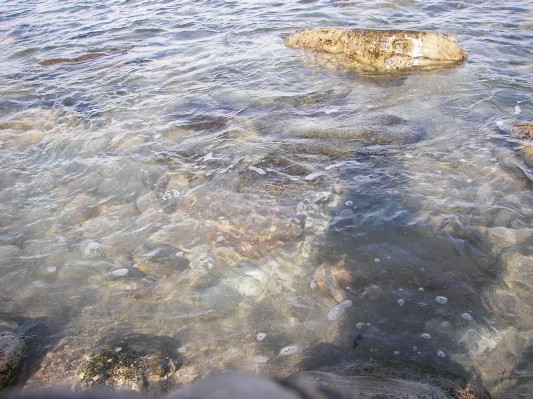 2006-10-11 11-34-37.jpg