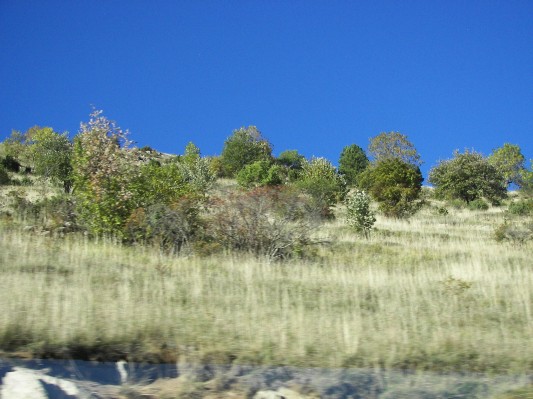 2006-10-08 17-26-19.jpg