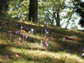 2006-10-10 10-50-58.jpg