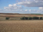 2006-10-11 17-46-38.jpg