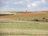 2006-10-11 18-04-12.jpg