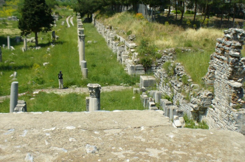 P1050241.jpg