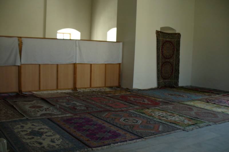 P1050303.jpg