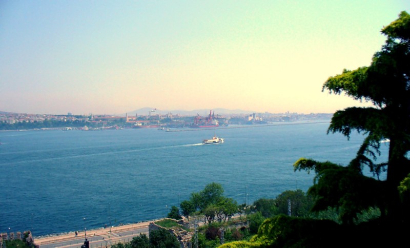 P1050685.jpg