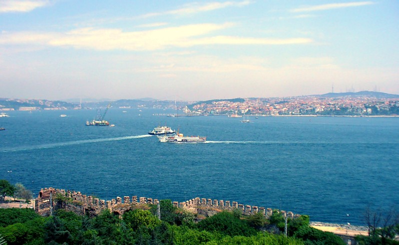 P1050686.jpg