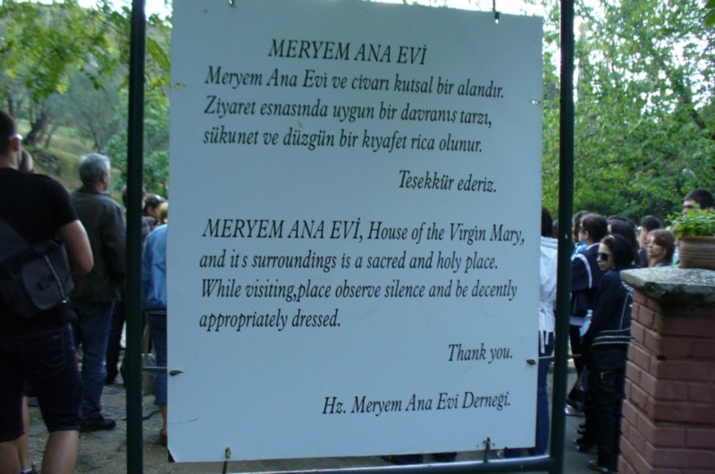 P1050049.jpg