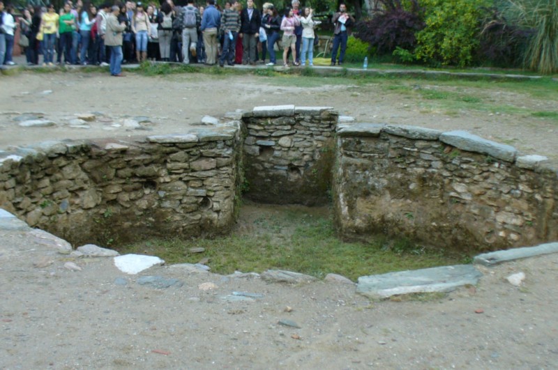 P1050054.jpg
