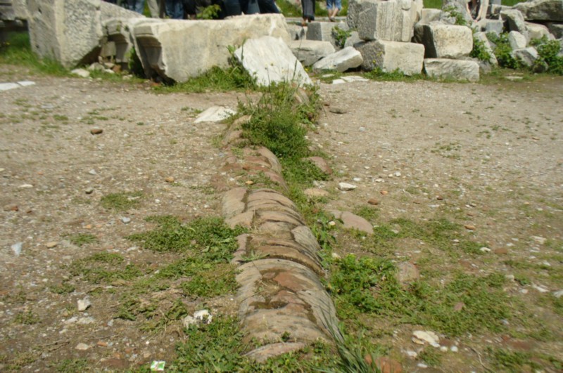 P1050142.jpg