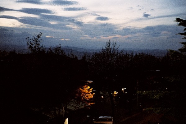 030.jpg