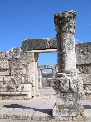 DSCN1377.JPG