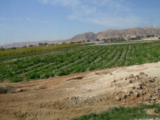 DSCN1416.JPG