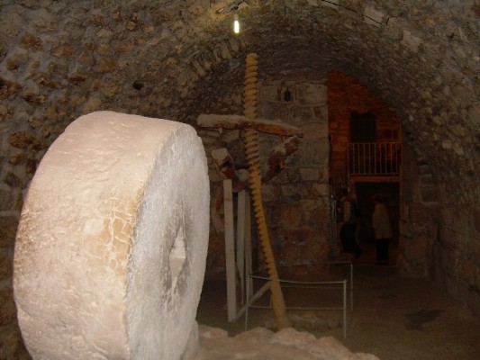 DSCN1443.JPG