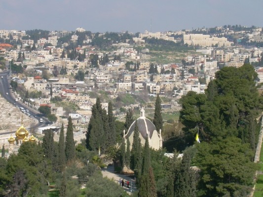 DSCN1515.JPG