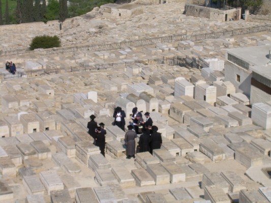 DSCN1516.JPG