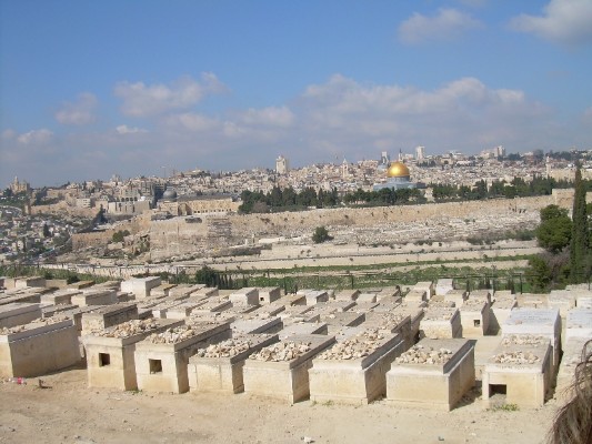 DSCN1517.JPG