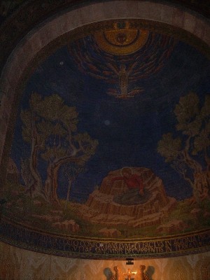 DSCN1535.JPG