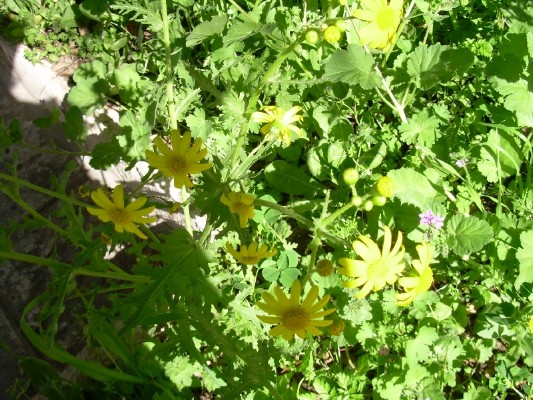 DSCN1607.JPG
